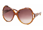 TortoiseBrownFaded