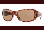 Havana On Transparent Brown